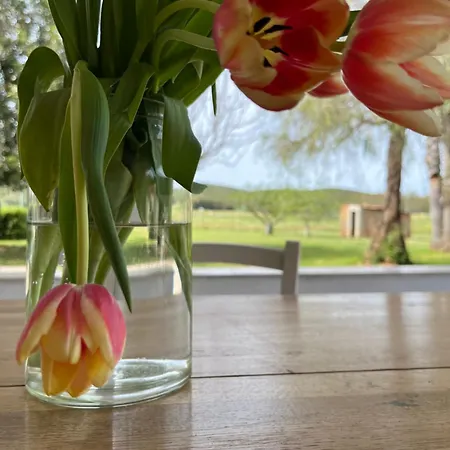 Casa Marongiu Guest house *