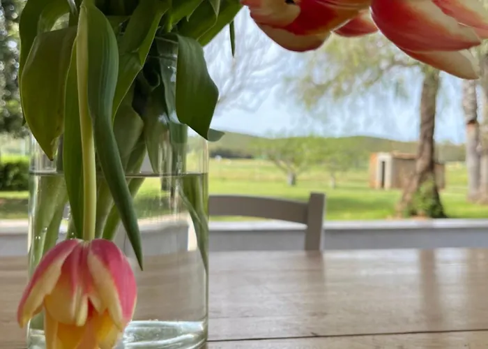 Casa Marongiu Affittacamere *