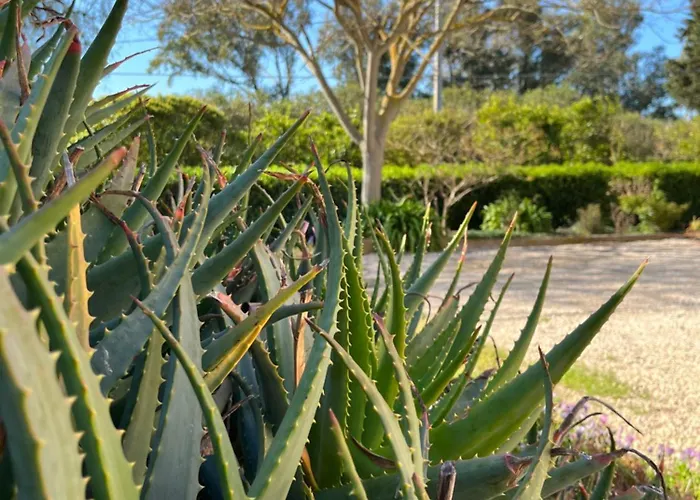 Casa Marongiu Affittacamere Santa Maria la Palma